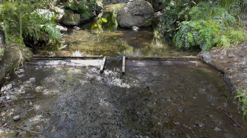 Level 2 restrictions coming to Hokianga