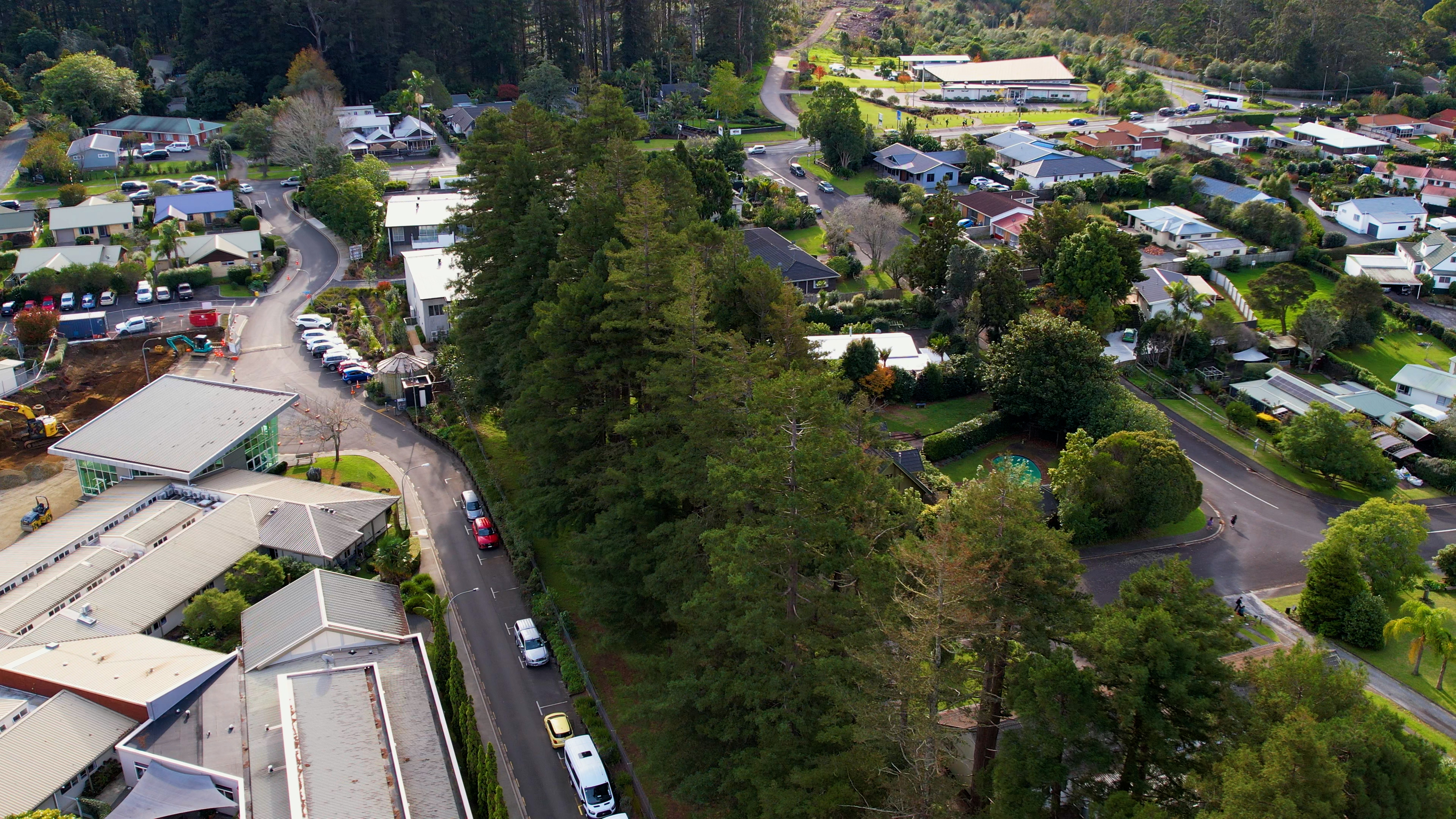 The redwoods next to the Kerikeri Retirement Village