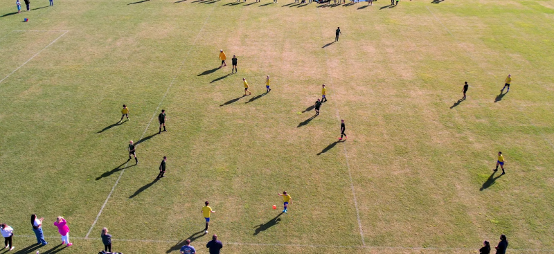 Could you be a vital part of Te Puāwaitanga?