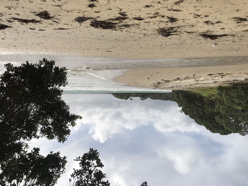 Swimmers get all-clear for Coopers Beach