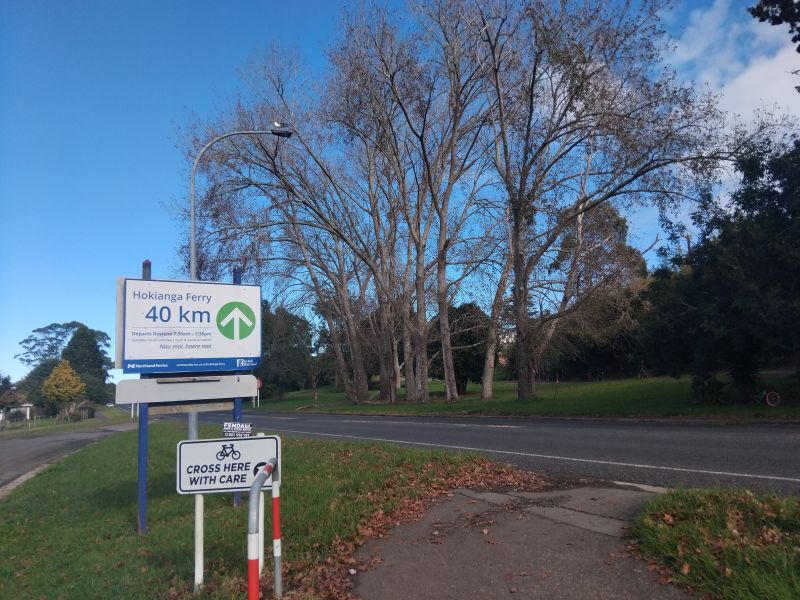 Ailing poplars to be removed from Kaikohe western entrance
