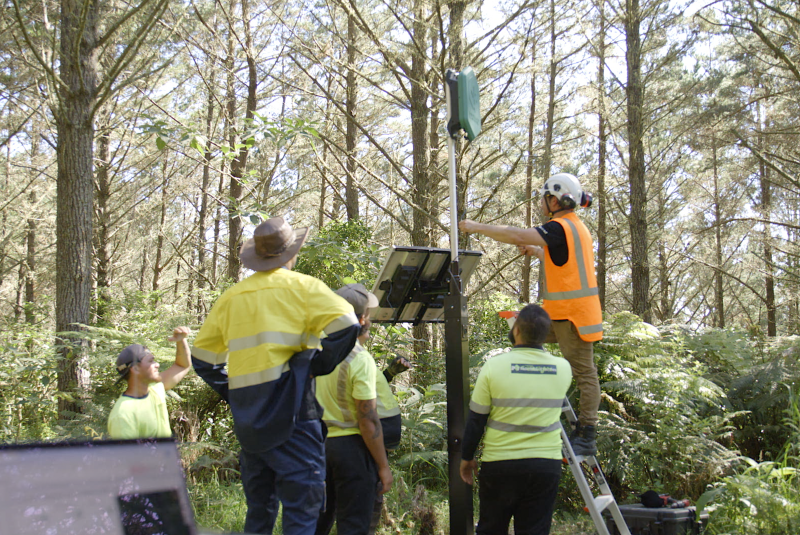 VIDEO - Waitangi forest and bike park get ultra-early fire detection system